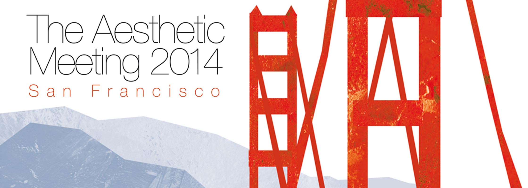 The Aesthetic Meeting 2014