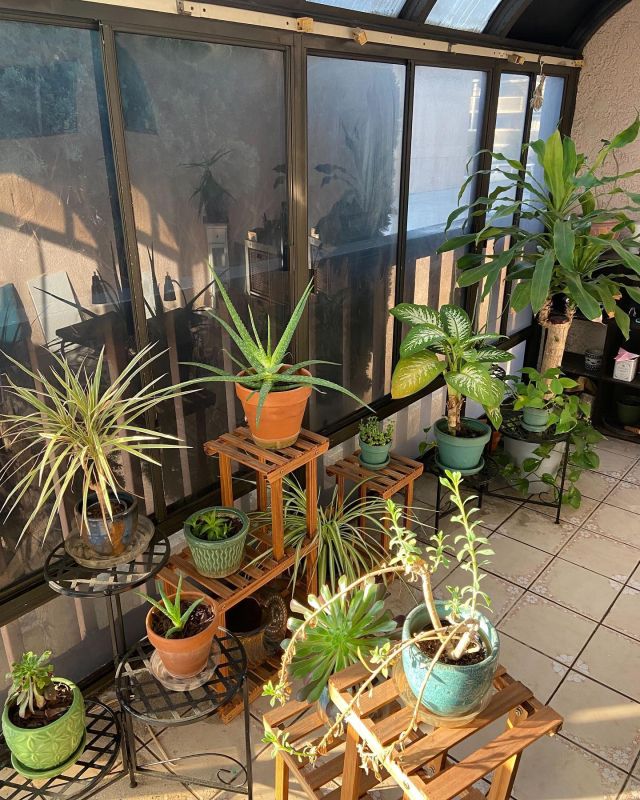 It’s #nationalhouseplantappreciationday and we wanted to spread the love! It’s not just our beloved Petnans who deserve recognition! Plantnans do too! Can you tell we’re a little obsessed 😅🪴